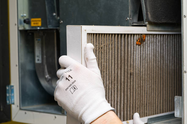 Best Home Air Vent Cleaning  in Payson, IL